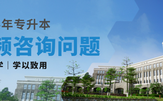 2024年广东东软学院专升本建档立卡批已投档，补录专业已确定！