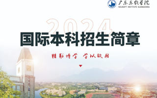 2024年广东东软学院国际本科招生简章