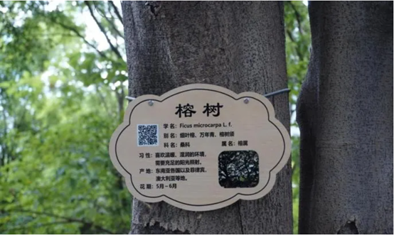 8cf8c4d6e4c745b3b59f8ac25cf80333.png